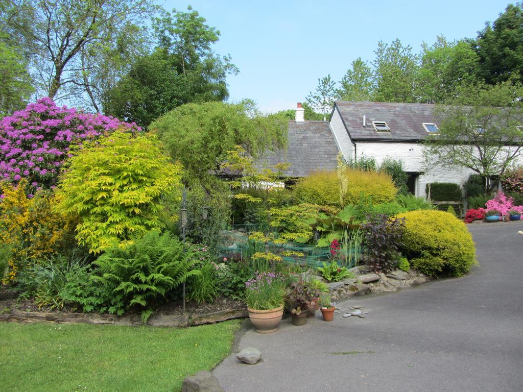 Brynarth Country Guest House Llanilar Rum bild