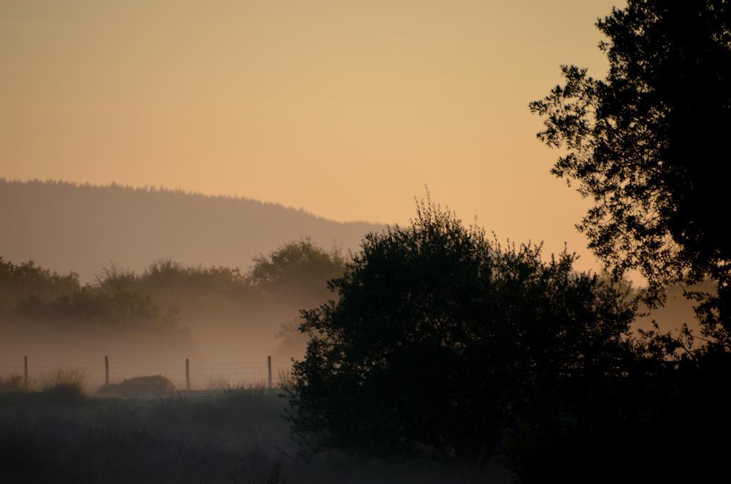 Brynarth Country Guest House Llanilar Rum bild