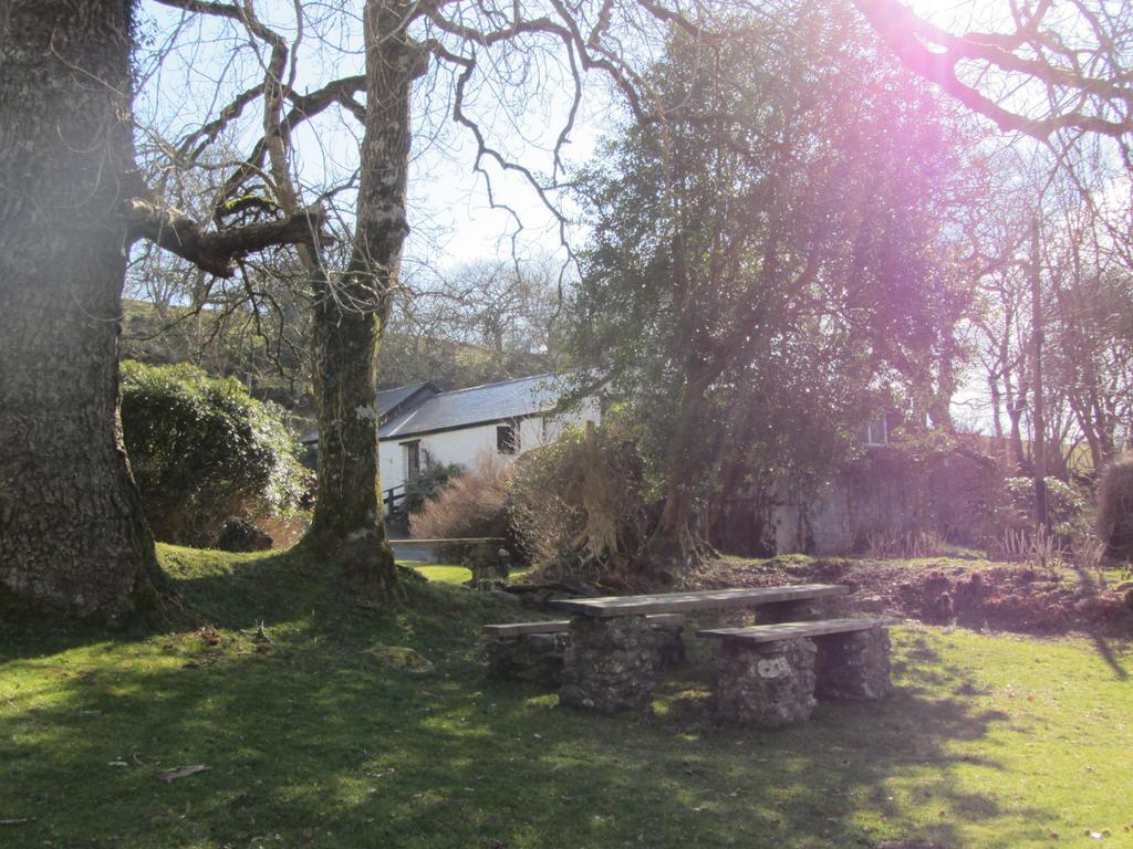 Brynarth Country Guest House Llanilar Rum bild