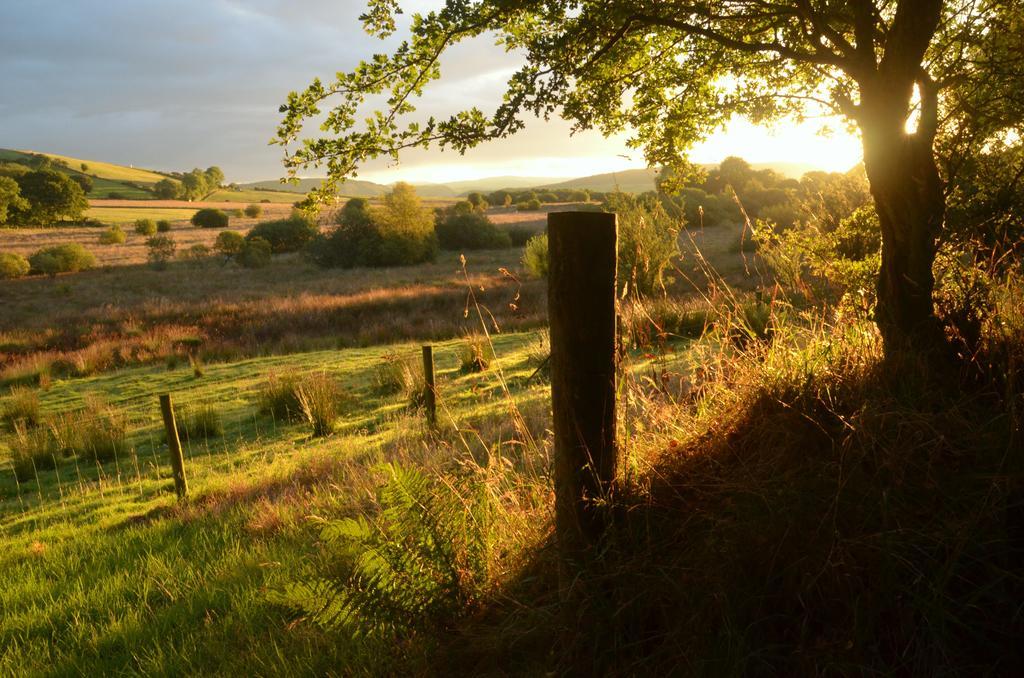 Brynarth Country Guest House Llanilar Rum bild